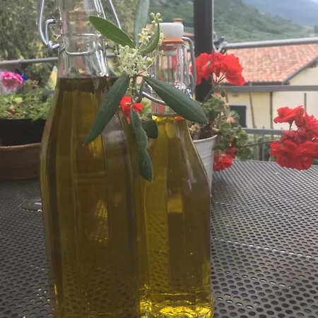 View מאלצ'סינה