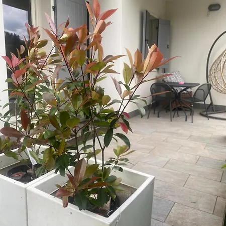 View מאלצ'סינה